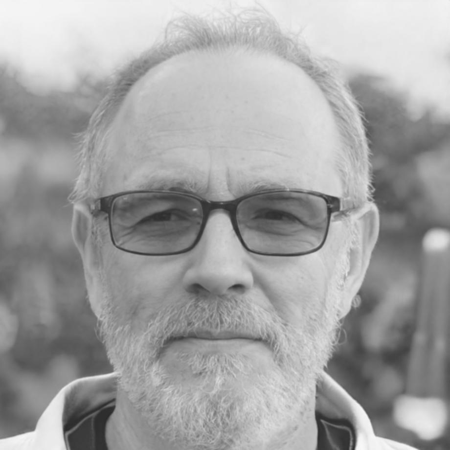 Portret Dănuț Păsărin